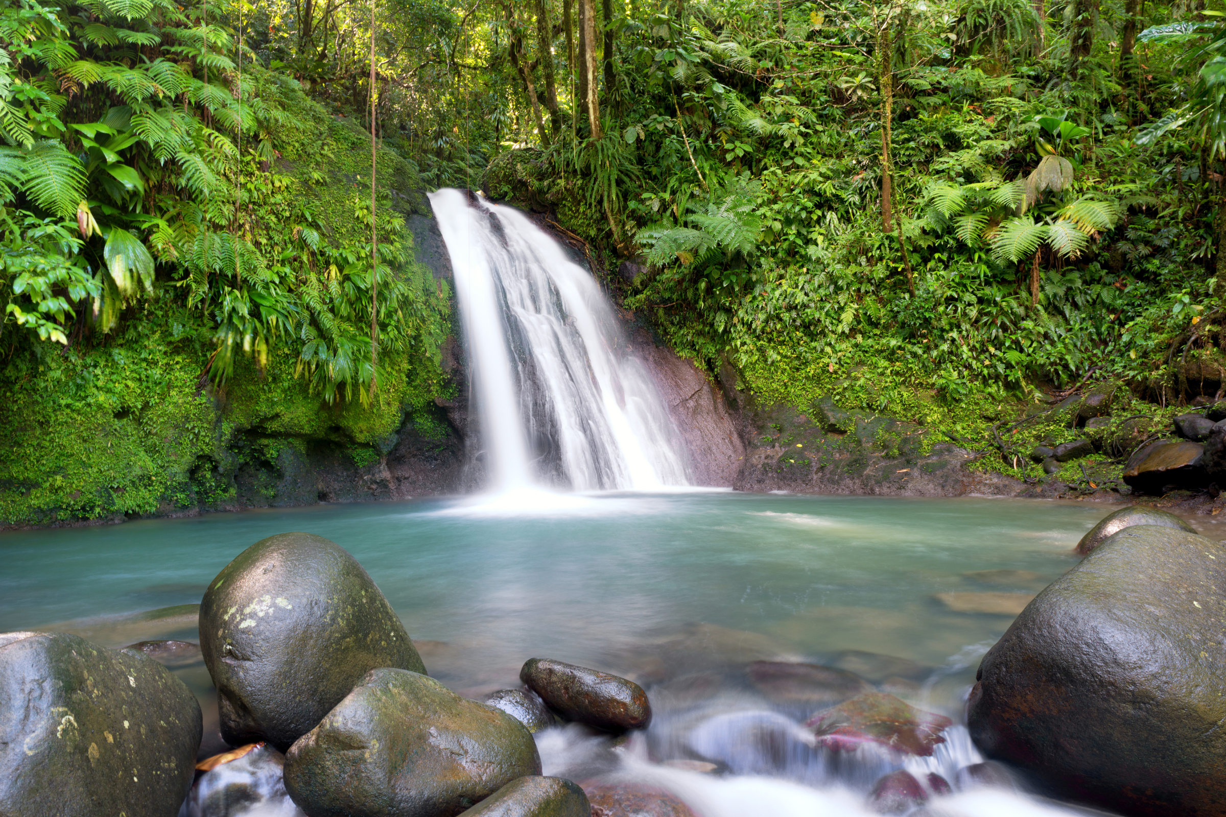 53 guadeloupe.webp